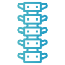 spinal-column